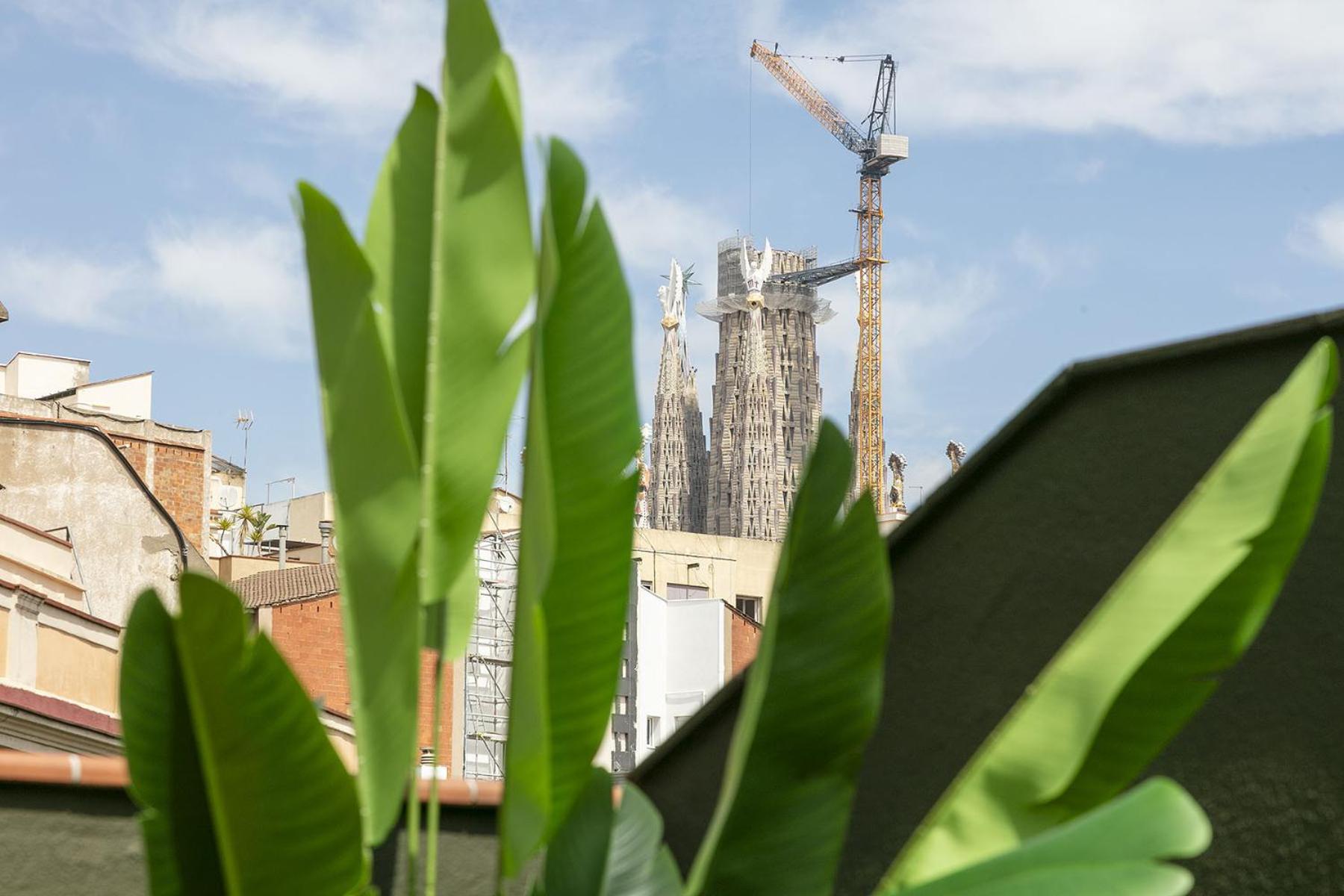 Ola Living Consell De Cent Lejlighed Barcelona Eksteriør billede